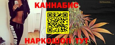 сатива Шахты