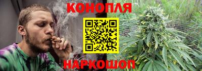 сатива Шахты