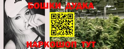 сатива Шахты