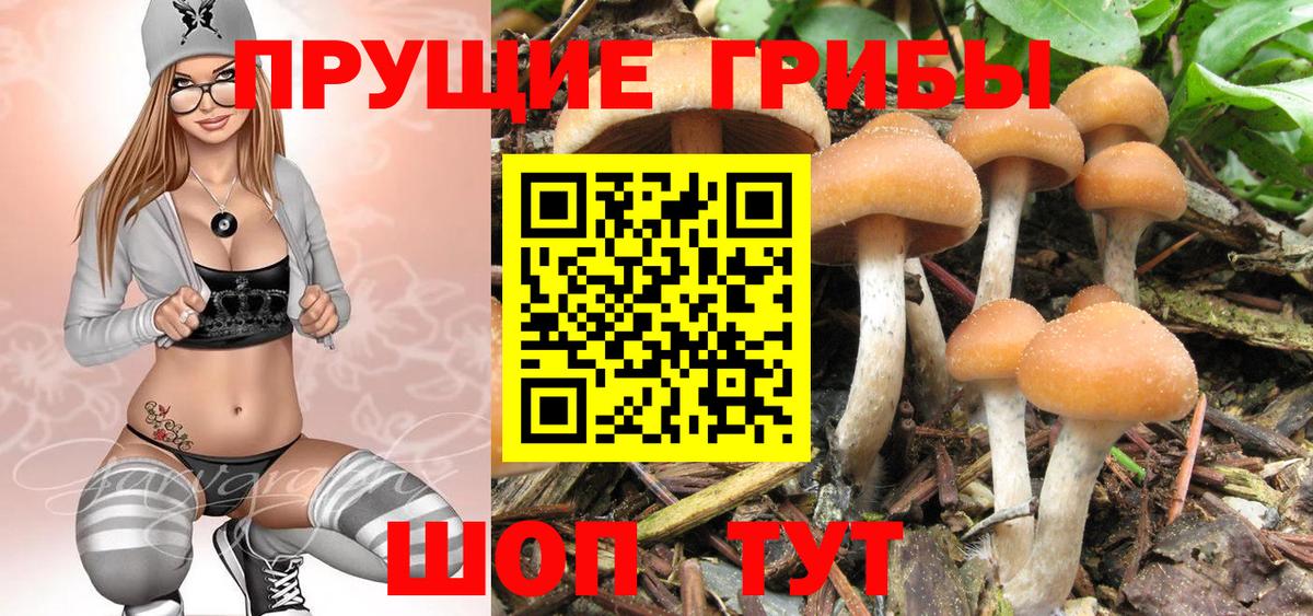 Галлюциногенные грибы Cubensis  Вход с VPN  Псилоцибиновые грибы ЛСД  Вятские Поляны 